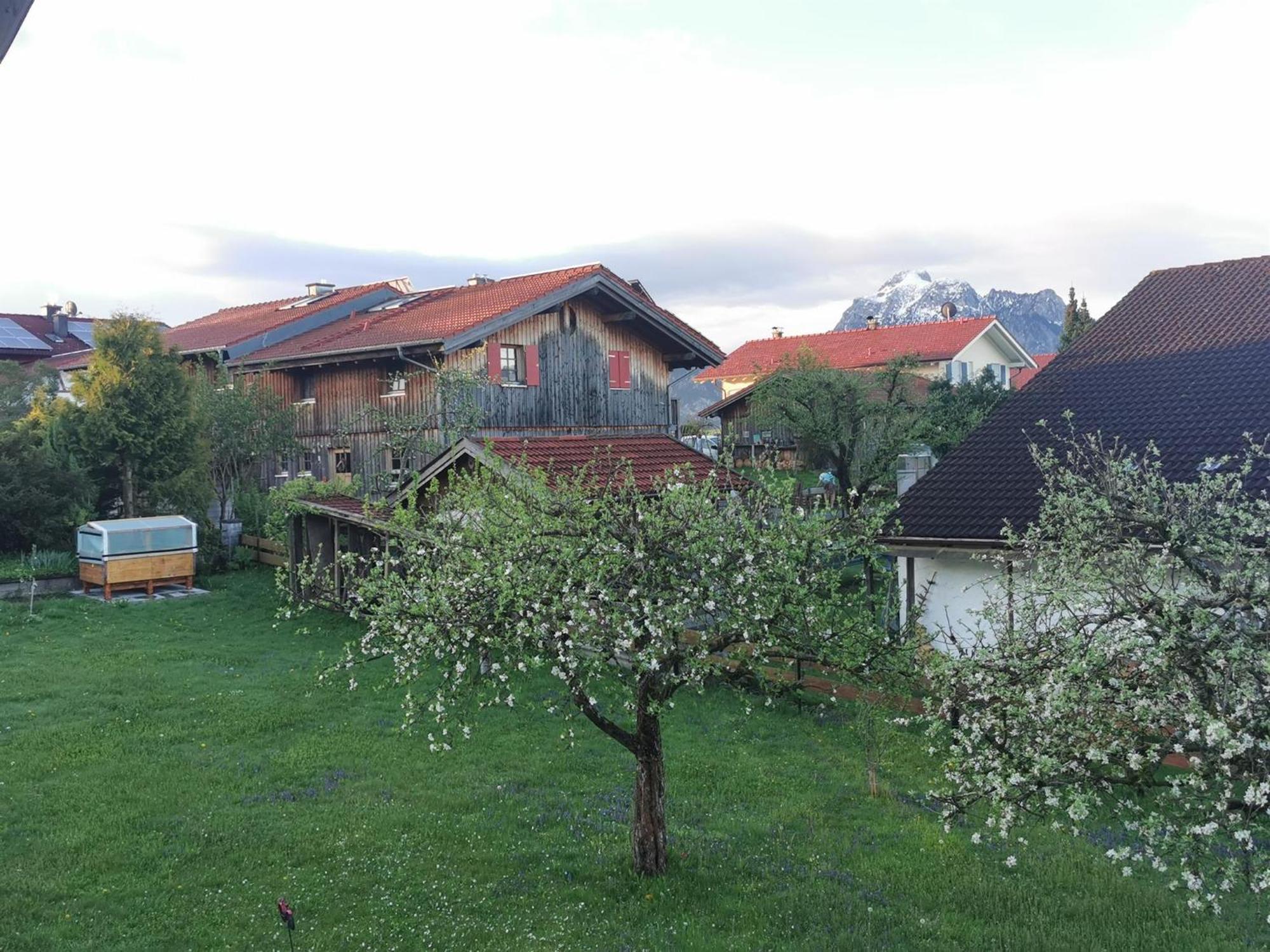 Sonnenschein Apartment